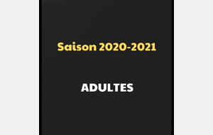 Saison 2020-2021 des adultes