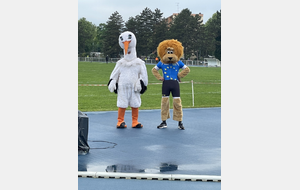 1er tour des Interclubs : l'article des DNA
