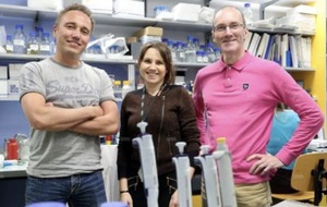 Conférence sur la génétique le mercredi 26 novembre à 20h au Centre Sportif et Culturel de Fegersheim