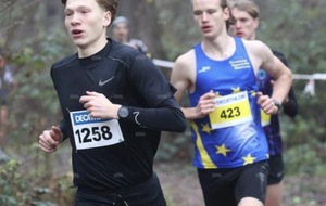 Cross de l'IBAL du 14 décembre : l'article des DNA