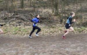 Résultats des championnats de cross du Grand-Est à Brumath