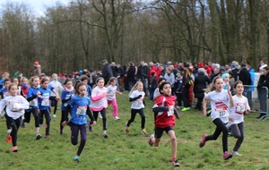 Chpts Cross 67+68+CEA à Lauterbourg