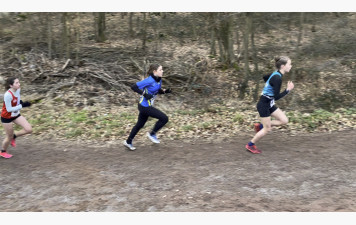 Résultats des championnats de cross du Grand-Est à Brumath