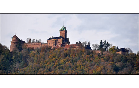 Sortie au Haut-Koenigsbourg