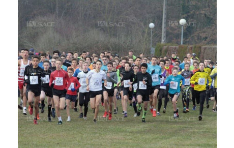 Nos engagé(e)s aux Bas-Rhin de Cross à Brumath