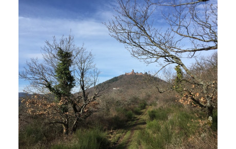 Sortie au Haut-Koenigsbourg