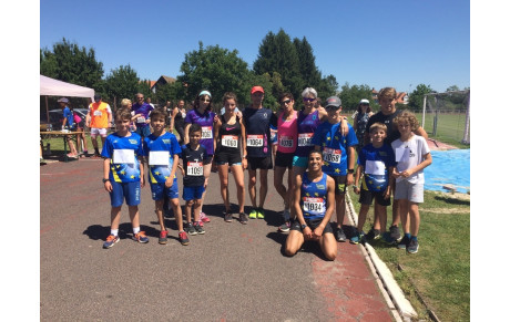 Reprise des entraînements sur la piste de Fegersheim