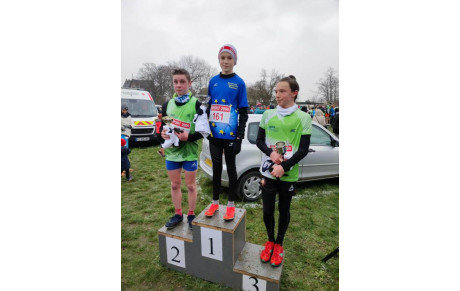 Cross du sapin de Noël de Sélestat