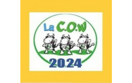 La C.O.W et trail urbain d'Altkirch