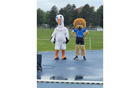 1er tour des Interclubs : l'article des DNA