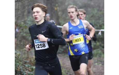 Cross de l'IBAL du 14 décembre : l'article des DNA