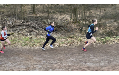 Résultats des championnats de cross du Grand-Est à Brumath
