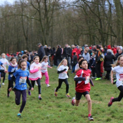Chpts Cross 67+68+CEA à Lauterbourg